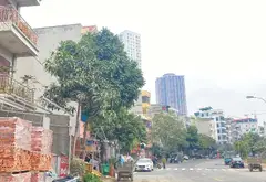 Bán đất tặng nhà mặt phố Nguyễn Văn Lộc, diện tích 50.2m2, giá 20.2 tỷ Kinh Doanh Bất chấp.... Bán nhà mặt phố tại Hà Đông, Hà Nội 03