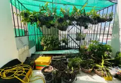Cơ hội hiếm có sở hữu nhà riêng 2 tầng trung tâm, giá tốt không thể bỏ qua... Bán nhà riêng tại An Hội Đông, Hồ Chí Minh 07