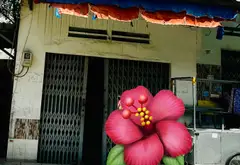 Bán Đất Mặt Tiền Cầu Xây 2, P. Tân Phú, TP. Thủ Đức – 70.7m² (5x14.14m) Ngang Rộng Kinh Doanh đỉnh... Bán nhà mặt phố tại Tăng Nhơn Phú, Hồ Chí Minh 09