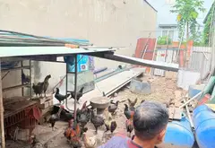 Bán đất tặng nhà cấp 4, DT 4,5x40 tại thạnh Xuân 25 Phường Thới An, cơ hội đầu tư Sinh lời cao... Bán nhà riêng tại Thới An, Hồ Chí Minh 06