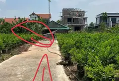 Đất siêu hiếm Văn Giang, oto vào tận nơi, cơ hội đầu tư đỉnh... Bán đất tại Văn Giang, Hưng Yên 10