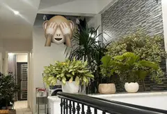 Nhà mặt phố Đông Khê với thiết kế tinh tế và không gian xanh lý tưởng... Bán nhà mặt phố tại Gia Viên, Hải Phòng 07