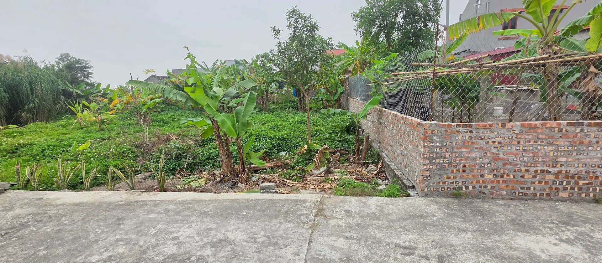 ĐẤT ĐẸP – VUÔNG VẮN – ĐƯỜNG Ô TÔ – ĐÓN ĐẦU KHU CÔNG NGHIỆP... Bán đất tại Phạm Ngũ Lão, Hưng Yên 01