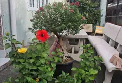 Bán nhà riêng 1 tầng diện tích 79m2 tại phường Tăng Nhơn Phú, quận 9, TP.HCM... Bán nhà riêng tại Tăng Nhơn Phú, Hồ Chí Minh 08