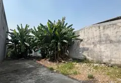 Nhà riêng diện tích rộng tại quận Bình Tân với mặt tiền rộng 11m giá hợp lý... Bán nhà riêng tại Tân Tạo, Hồ Chí Minh 01