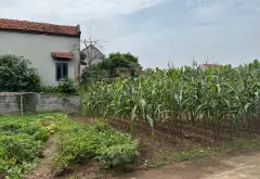 Đất đẹp giá êm tại Hạnh Lâm Mai Động Kim Động nay là Đức Hợp Hưng Yên... Bán đất tại Đức Hợp, Hưng Yên 01