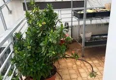 Cơ hội sở hữu nhà 3 tầng vị trí vàng Quận 10 với giá hấp dẫn... Bán nhà riêng tại Vườn Lài, Hồ Chí Minh 01