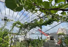 Nhà 4 tầng view vườn, 2 mặt hẻm rộng, quận 12 giá sốc... Bán nhà riêng tại Thới An, Hồ Chí Minh 18
