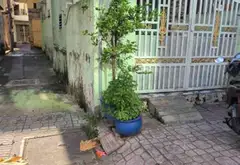 Bán nhà mặt phố phường Bình Tiên, 46m², 2 tầng, 5 phòng ngủ... Bán nhà mặt phố tại Bình Tiên, Hồ Chí Minh 01