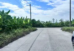 Đất giãn dân mặt đường ô tô tránh tại xã Đoàn Đào, Hưng Yên... Bán đất tại Đoàn Đào, Hưng Yên 02