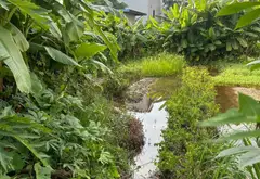 Bán đất thổ cư 51m² tại khu vực đông dân cư gần chợ và uỷ ban... Bán đất tại An Dương, Hải Phòng 03