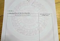 Nhà hẻm bên Tôn Đức Thắng - Kinh doanh cực đỉnh!... Bán nhà mặt phố tại Hòa Khánh, Đà Nẵng 02