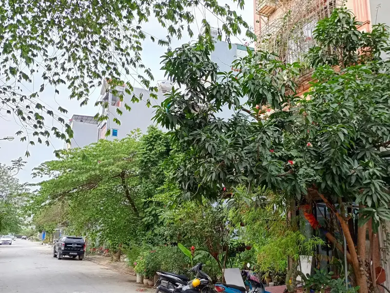 Bán biệt thự liền kề khu dịch vụ Yên Nghĩa, diện tích 50m2, 5 tầng, pháp lý cơ sở... Bán biệt thự, liền kề tại Yên Nghĩa, Hà Nội 01