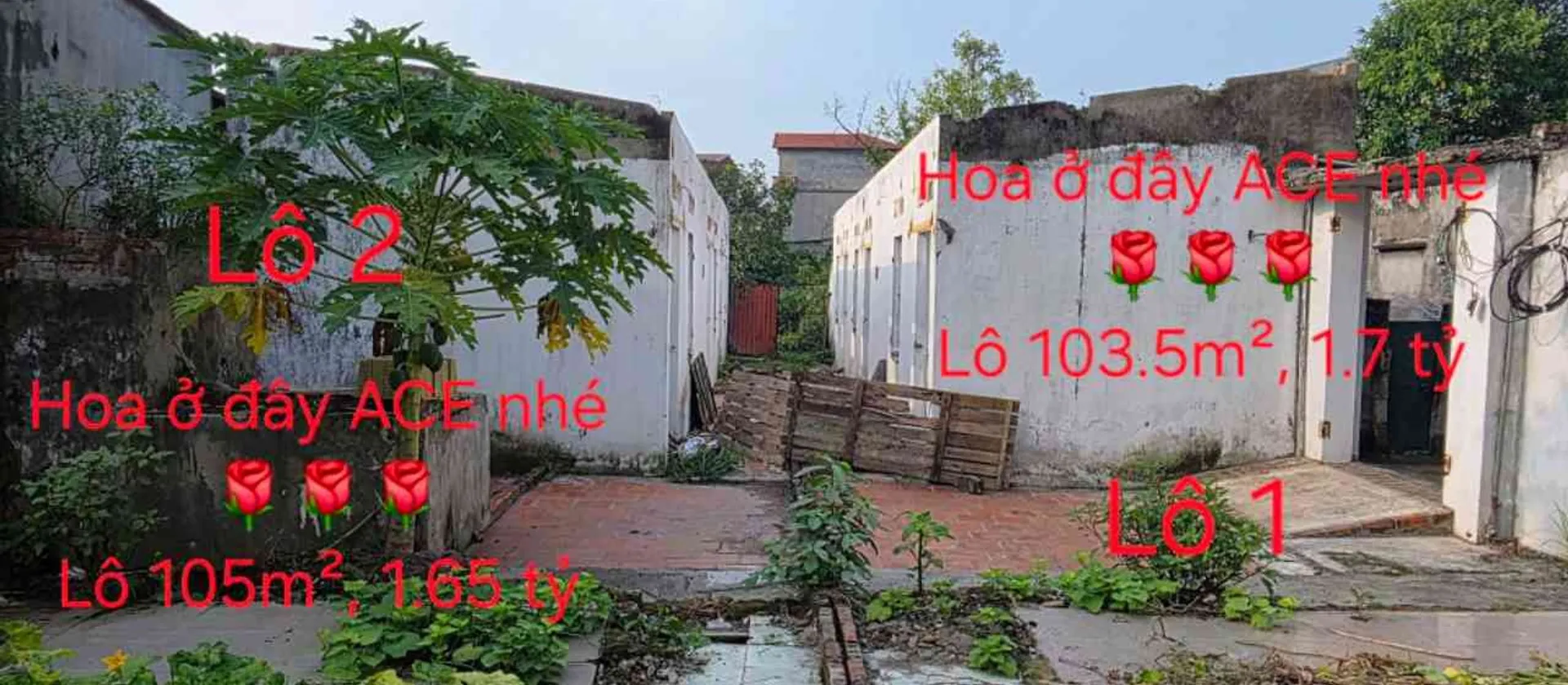 Bán đất 105m2 hướng Bắc thôn Bất Lự, Tiên Du Bắc Ninh... Bán đất tại Đại Đồng, Bắc Ninh 01