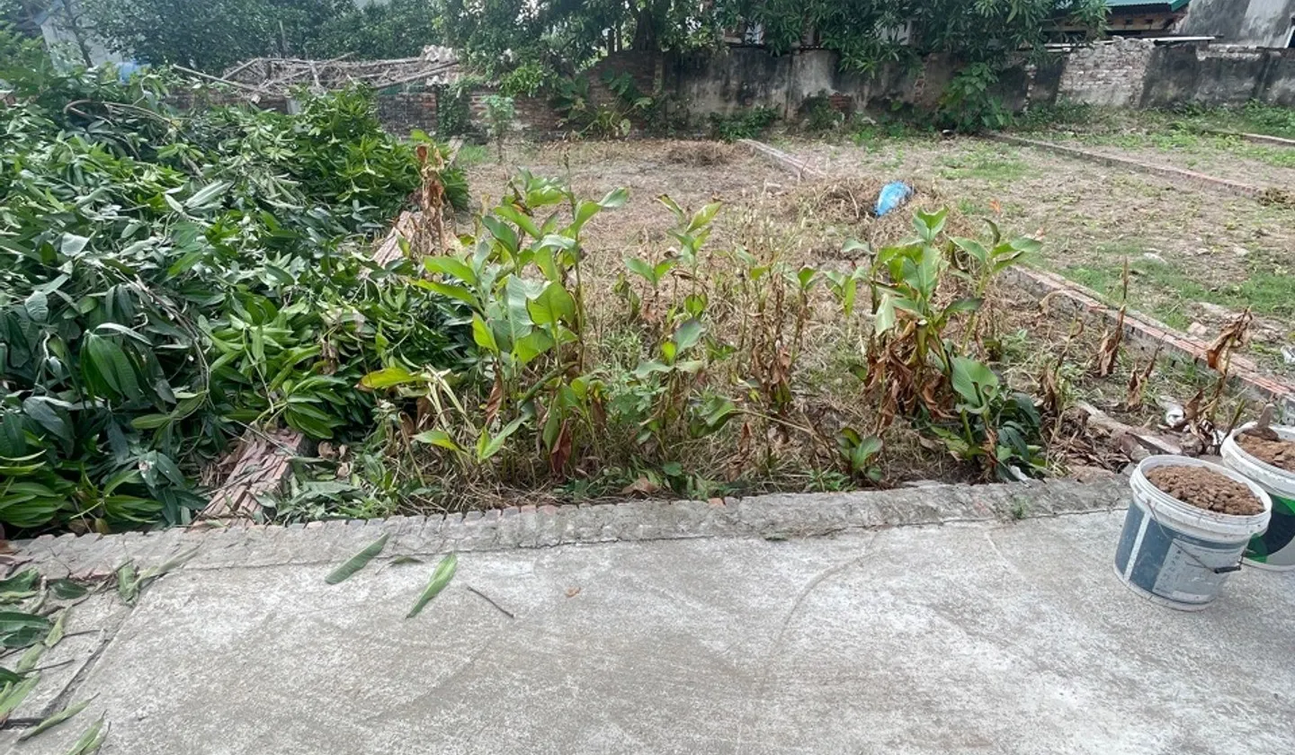 Bán đất thổ cư diện tích 60m2 tại xã Như Quỳnh, Hưng Yên, giá hợp lý 2 tỷ xíu... Bán đất tại Như Quỳnh, Hưng Yên 01