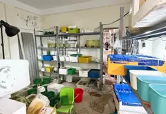 Nhà 5 tầng Hoàng Mai 42m2, 3 ngủ, 4 vệ sinh, giá 7.5 tỷ... Bán nhà riêng tại Tương Mai, Hà Nội 10