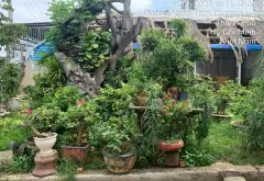 Nhà mặt tiền rộng 21m full thổ cư xã Bà Điểm giá tốt... Bán nhà mặt phố tại Bà Điểm, Hồ Chí Minh 11