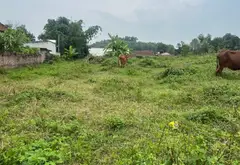 Cơ hội sở hữu đất phân lô vị trí vàng tại Thất Giang, Bắc Ninh với giá tốt... Bán đất tại Phù Lãng, Bắc Ninh 04