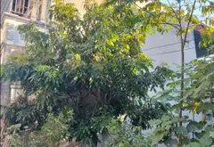 Bán đất 64m² hướng Đông Bắc tại phường Yên Nghĩa, Hà Nội giá 3,7 tỷ đồng... Bán đất tại Yên Nghĩa, Hà Nội 10