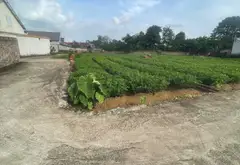 Đất Lô Góc ô tô vào tận nơi, Tiềm Năng Tại Sóc Sơn... Bán đất tại Sóc Sơn, Hà Nội 01