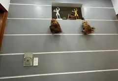 Bán nhà riêng 4 tầng tại Bình Trị Đông, quận Tân Bình, gần Aeon Mall, giá 7.3 tỷ... Bán nhà riêng tại Bình Trị Đông, Hồ Chí Minh 07