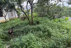 Cơ hội sở hữu nhà vườn giá tốt tại thị trấn Thắng với không gian rộng rãi... Bán nhà riêng tại Hiệp Hòa, Bắc Ninh 08