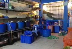 Căn góc 2 mặt tiền HXH rộng 8m tại Bình Trị Đông, Quận Bình Tân... Bán owner_side tại Bình Trị Đông, Hồ Chí Minh 11