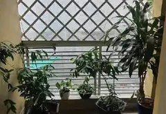 4.2 TỶ NHÀ 1 TR 1 LẦU 1 TUM MỚI KIÊN CỐ NGAY CHỢ HẺM XE HƠI ĐOÀN THỊ KIA. DĨ AN... Bán nhà riêng tại Dĩ An, Hồ Chí Minh 04