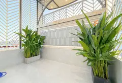 Cơ Hội Sở Hữu Nhà 5 Tầng Hiện Đại Gần Trường Nguyễn Hữu Thọ Với Giá Ưu Đãi... Bán nhà riêng tại Tân Hưng, Hồ Chí Minh 20