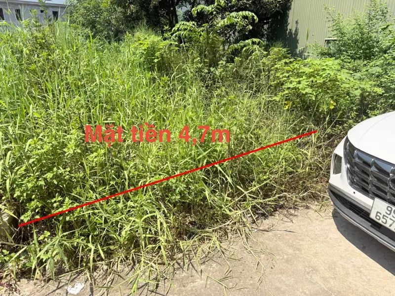 Đất nền Xuân Viên địa thế phong thủy, vị trí đắc địa và tiềm năng đầu tư bền vững... Bán đất tại Kinh Bắc, Bắc Ninh 01