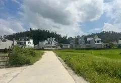Đất phân lô ô tô tránh tại Phù Lưu, Ninh Sơn, Thuỷ Nguyên... Bán đất tại Thủy Nguyên, Hải Phòng 05