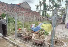 Đất thổ cư hướng Đông tại Trà Sơn, phù hợp an cư và đầu tư lâu dài... Bán đất tại Lưu Kiếm, Hải Phòng 13