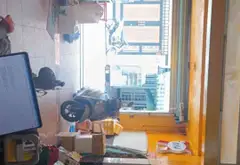 Nhà mặt phố lô góc 2 mặt thoáng, thu nhập 30 triệu/tháng... Bán nhà mặt phố tại Tân Sơn Nhất, Hồ Chí Minh 12