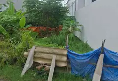 thửa đất thôn Huệ Lai 1. tỷ... Bán đất tại Phạm Ngũ Lão, Hưng Yên 05