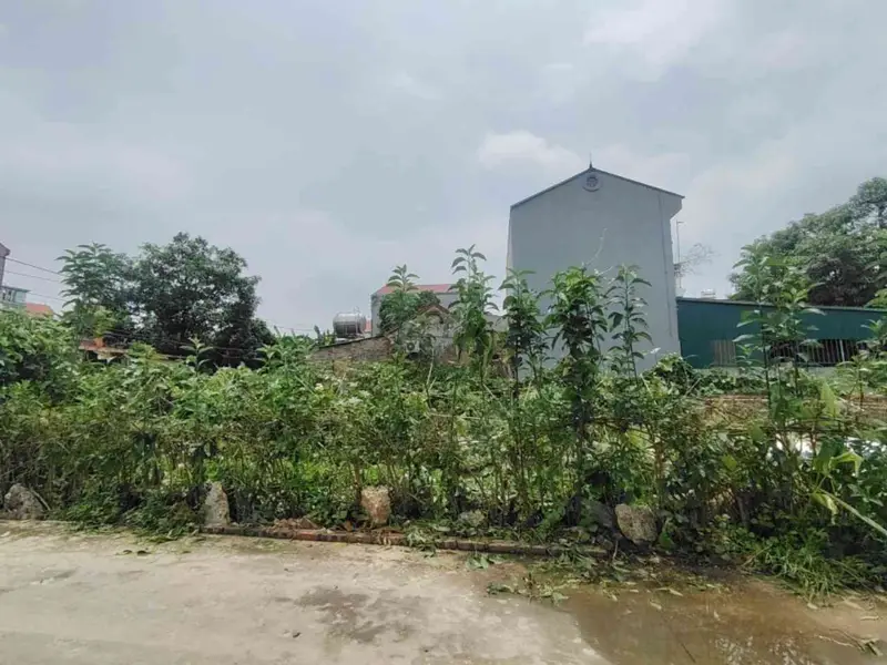 Bán đất xã Quảng Hội, lô góc, ô tô tránh, vị trí tiềm năng gần sân bay Nội Bài... Bán đất tại Nội Bài, Hà Nội 01