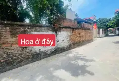 Đất Phù Lỗ giá sốc, ô tô vào tận nơi, sổ đỏ chính chủ... Bán đất tại Sóc Sơn, Hà Nội 02