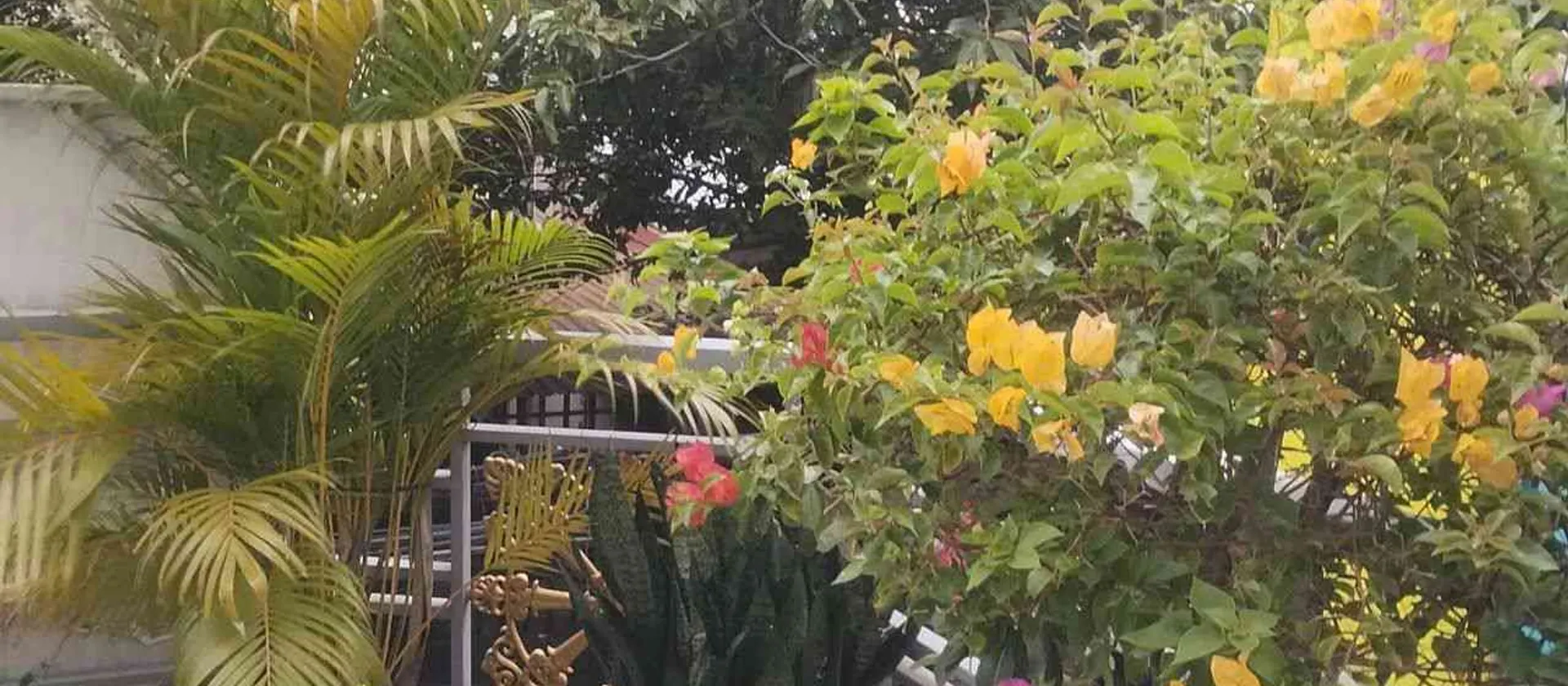 Mt kinh doanh căn góc 2 mt,tân chánh hiệp 08, p Trung Mỹ Tây quận 12 có thang máy , giá 11,5 tỷ... Bán nhà mặt phố tại Trung Mỹ Tây, Hồ Chí Minh 01