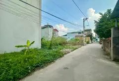 Thiện chí bán gấp đất 73m² tại Ấp Tre, Quang Minh, gần khu công nghiệp chỉ 3,x tỷ... Bán đất tại Quang Minh, Hà Nội 02