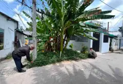 CHẤN ĐỘNG - ĐẤT HIỆP BÌNH, TĐ, HẺM Ô TÔ- DT: 75m2= 5m x 15m , SỔ HỒNG RIÊNG- Chỉ 1.85 tỷ - TL... Bán đất tại Hiệp Bình, Hồ Chí Minh 01