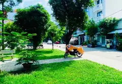 NHÀ VIEW CÔNG VIÊN NGUYỄN VĂN KHỐI – 2 MẶT HẺM LỚN – 12TY99 TL... Bán nhà riêng tại Thông Tây Hội, Hồ Chí Minh 06