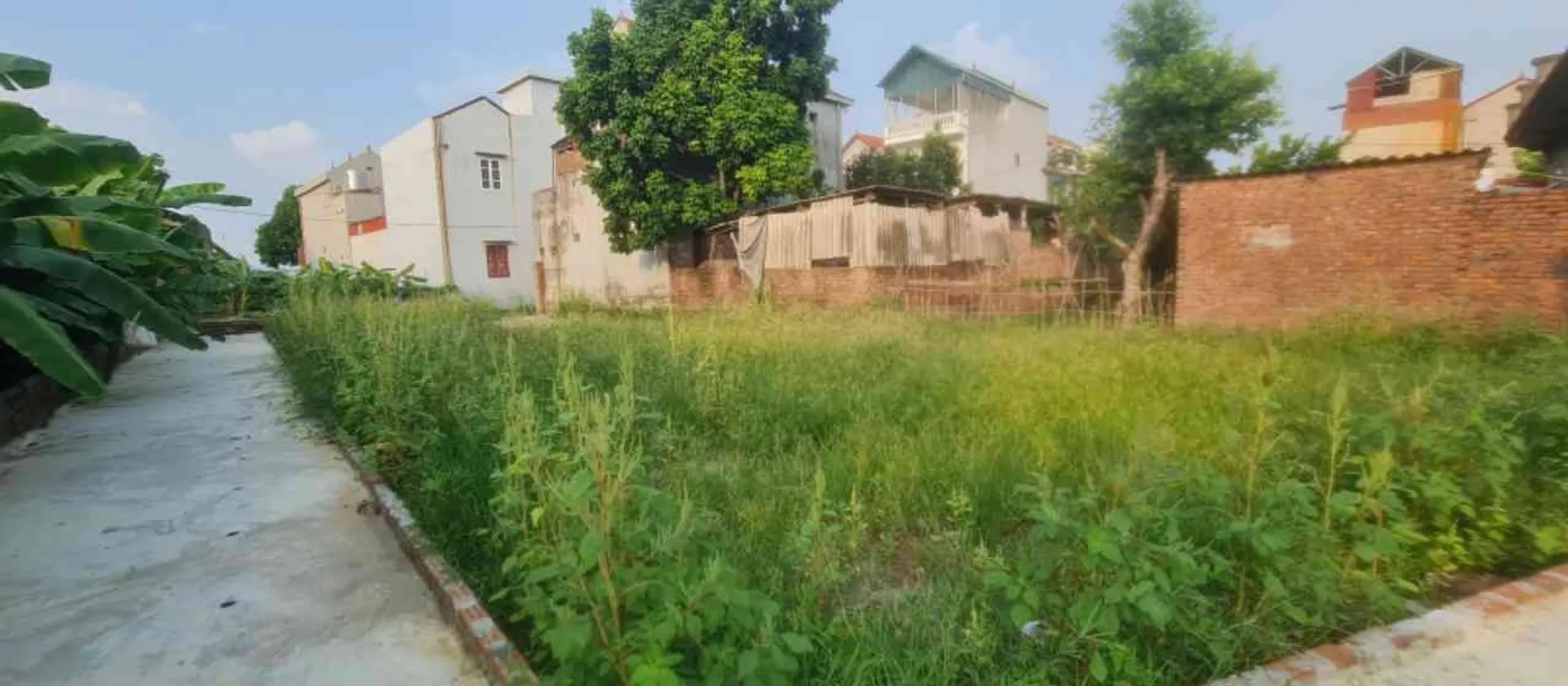 Bán lô đất 62.3 m² tại phường An Bình, gần khu công nghiệp Thuận Thành... Bán đất tại Mão Điền, Bắc Ninh 01