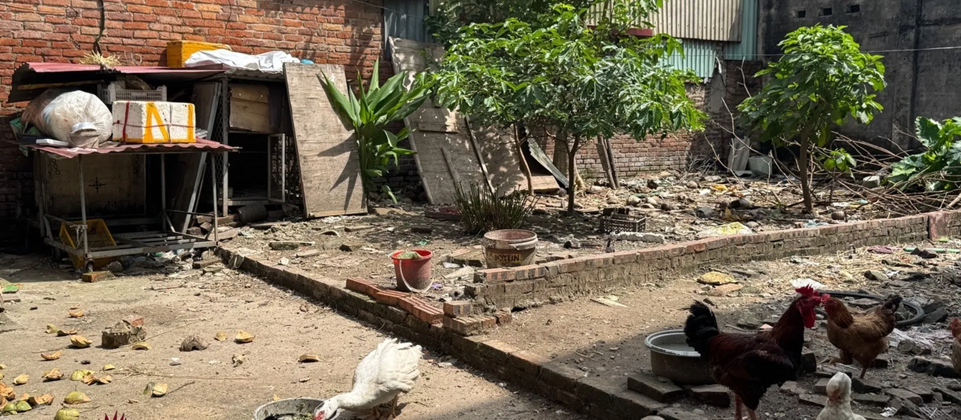Đất vuông vắn giá đầu tư gần chợ, trường học... Bán đất tại Phù Khê, Bắc Ninh 01