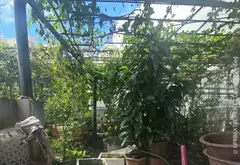 Nhà mặt phố 3 tầng rộng 57.4m2 tại Phường Tăng Nhơn Phú, TP HCM... Bán nhà mặt phố tại Tăng Nhơn Phú, Hồ Chí Minh 09