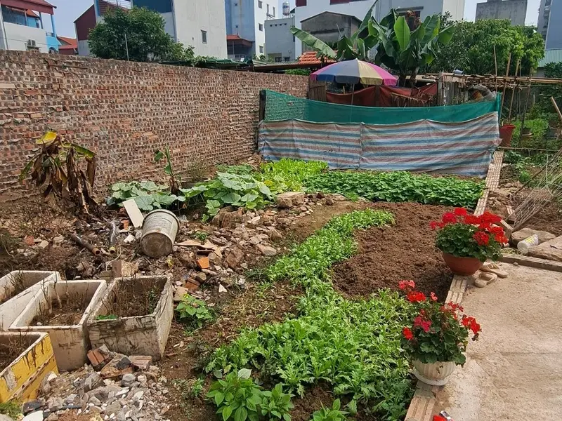 Bán đất thổ cư Phúc Lợi, mặt tiền 5m, diện tích 55.5 m², pháp lý cơ sở... Bán đất tại Long Biên, Hà Nội 01