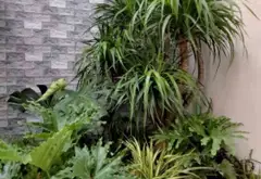 SIÊU PHẨM CHIỀU DÀI KHỦNG – ĐẤT NỞ HẬU SINH TÀI LỘC NGAY CHỢ BÌNH TIÊN! . Dài gần 27m... Bán nhà riêng tại Bình Tiên, Hồ Chí Minh 07
