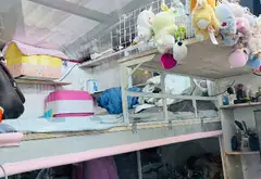 Nhà Phạm Thế Hiển Quận 8 Giá Tốt - Cơ Hội Vàng Sở Hữu Ngay... Bán nhà riêng tại Chánh Hưng, Hồ Chí Minh 05