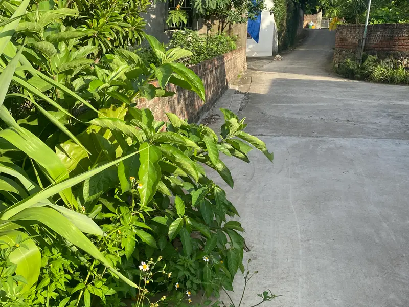Bán đất thổ cư 93,6 m² tại xã Quỳnh Bội, gần sân bay Gia Bình... Bán đất tại Gia Bình, Bắc Ninh 01