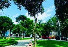 NHÀ VIEW CÔNG VIÊN NGUYỄN VĂN KHỐI – 2 MẶT HẺM LỚN – 12TY99 TL... Bán nhà riêng tại Thông Tây Hội, Hồ Chí Minh 05