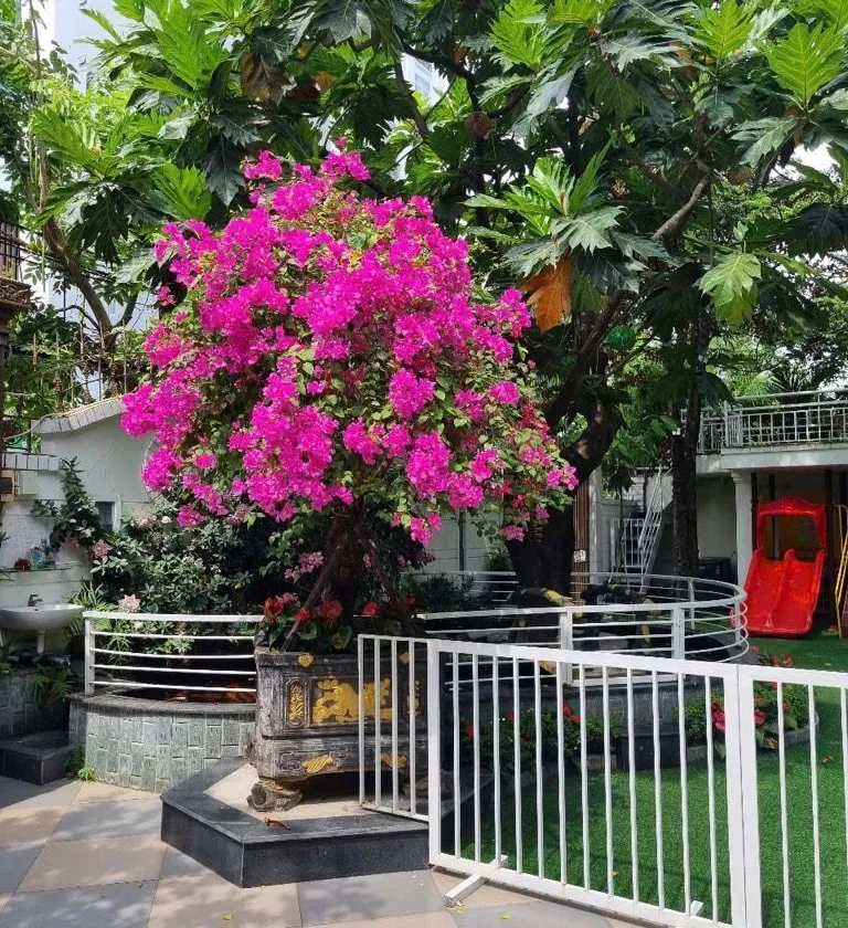 BIỆT THỰ 648M² –NGANG 24M – DÒNG TIỀN 3.000 USD/THÁNG – SÁT BIỂN MỸ KHÊ 200M | 0762,658,925 - 45 tỷ... Bán nhà mặt phố tại An Hải, Đà Nẵng 01