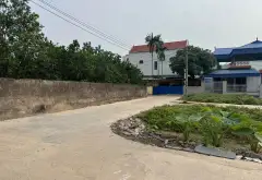 Bán đất phân lô tại xã Triệu Việt Vương, Hưng Yên, mặt tiền rộng, đường ô tô... Bán đất tại Triệu Việt Vương, Hưng Yên 03